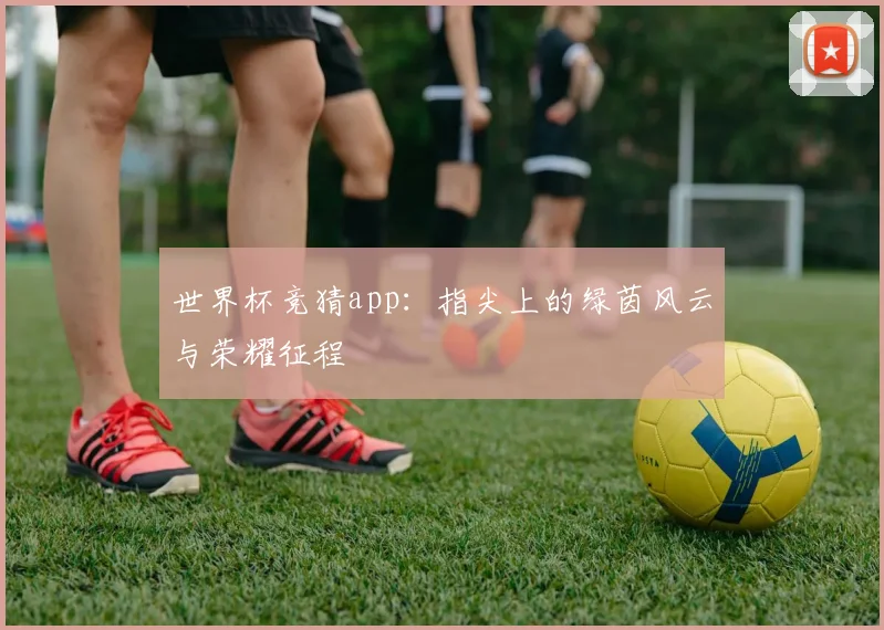 世界杯竞猜app：指尖上的绿茵风云与荣耀征程