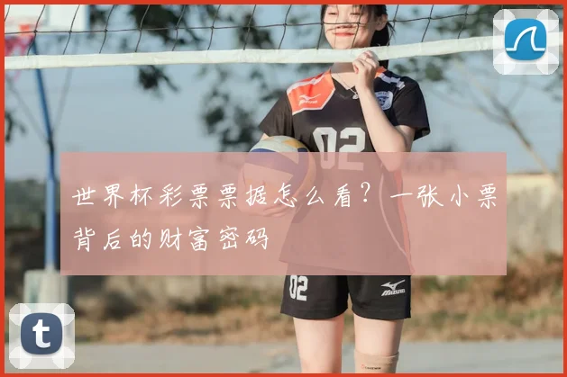 世界杯彩票票据怎么看?一张小票背后的财富密码