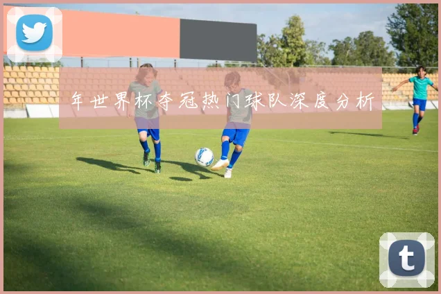 年世界杯夺冠热门球队深度分析