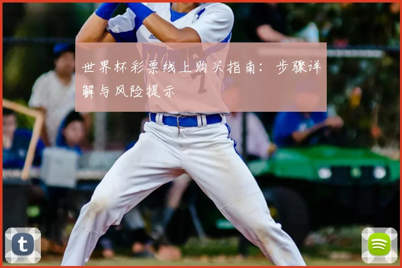 世界杯彩票线上购买指南:步骤详解与风险提示
