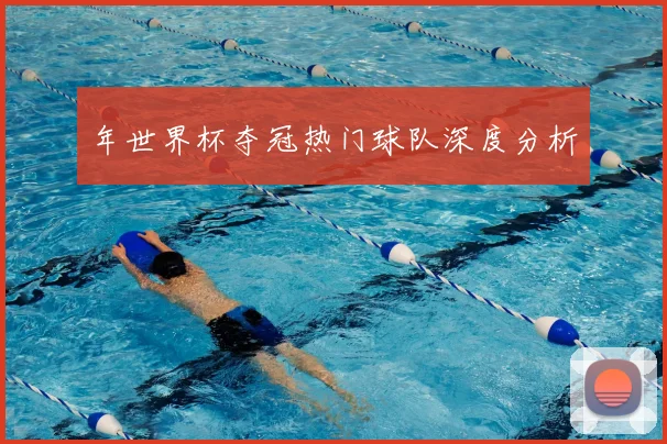年世界杯夺冠热门球队深度分析