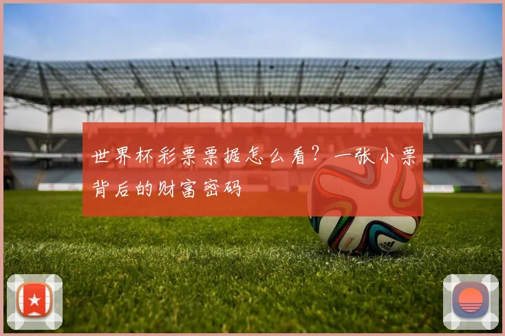 世界杯彩票票据怎么看?一张小票背后的财富密码