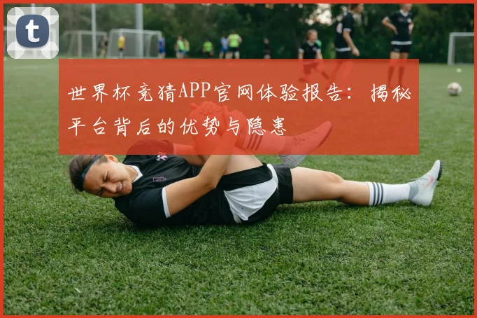 世界杯竞猜APP官网体验报告：揭秘平台背后的优势与隐患