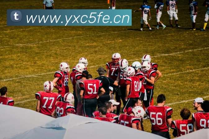 星空体育官方登录入口发展历程