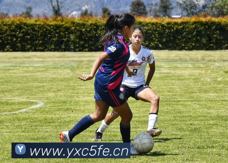 中国体育app官网入口全站App 中国体育app官网入口全站App